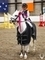 FINAL QUALIFIER - THE LITTLE STARS SERIES 2026